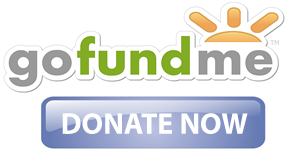Go Fund Me logo